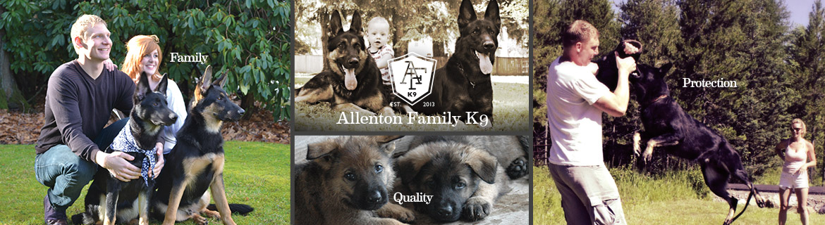 family-quality-protection